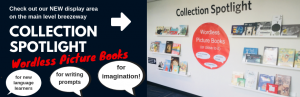 Collection Spotlight: Wordless Picture Books (or close to it)